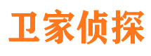 卢龙侦探公司